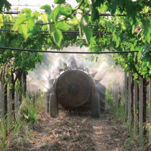 Prodotti fitosanitari agricoltura biologica