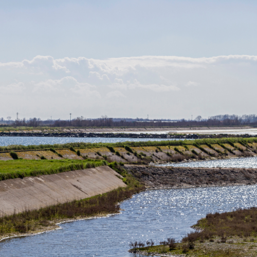 bonifica terreni da idrocarburi