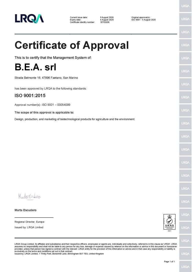 ISO Certificate